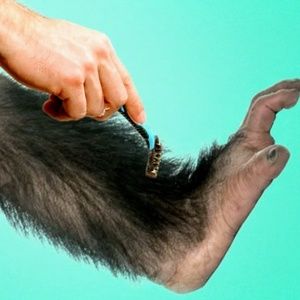 Meet your Posher, Steve